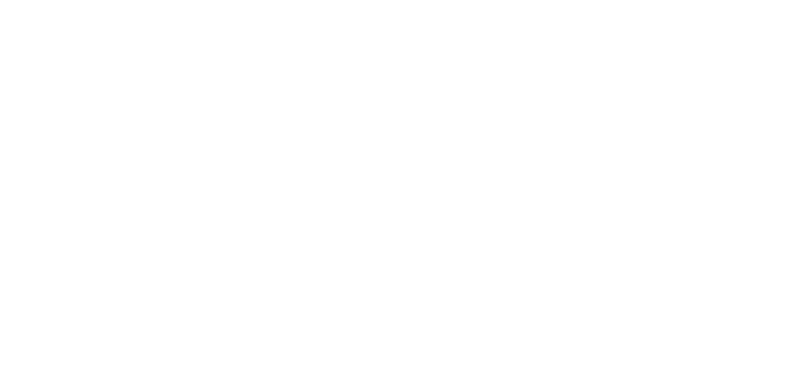 Prime First Finance Logo